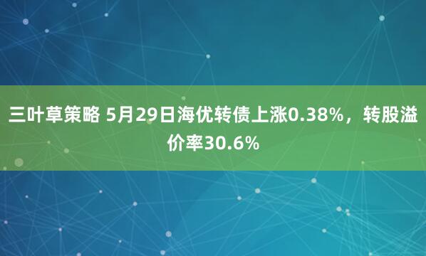 三叶草策略 5月29日海优转债上涨0.38%，转股溢价率30.6%