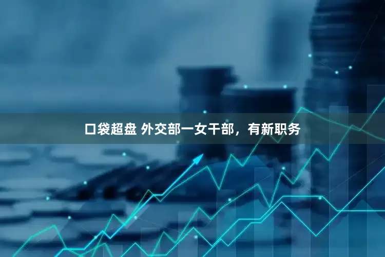 口袋超盘 外交部一女干部，有新职务