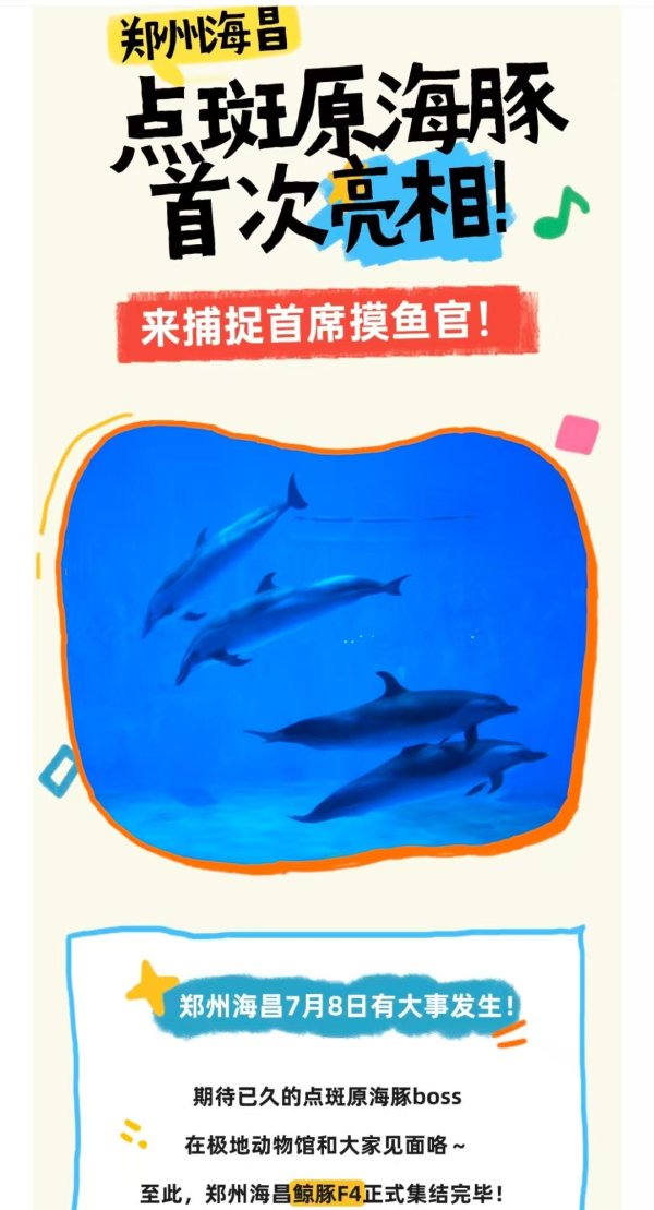 启灯网 前职工称郑州知名海洋公园长期给海豚用镇静药物，还疑治疗不当致狼崽死亡，多方回应