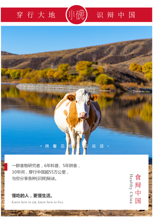 乐蒙网 白露过后要祛湿！但分不清湿寒/湿热，吃再多薏米也没用！