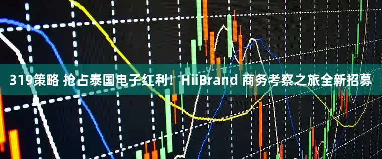 319策略 抢占泰国电子红利！HiiBrand 商务考察之旅全新招募